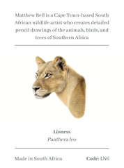 Lioness Magnet - LN6