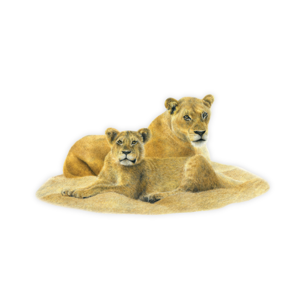 26_f30540a5-b27f-4ad6-b09f-92d041930362.png