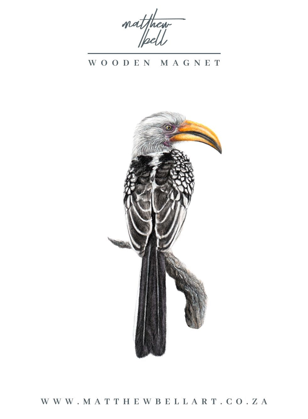 Yellow Billed Hornbill Magnet - YBH