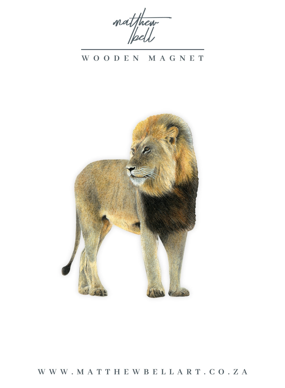 Male Lion Magnet - LN8