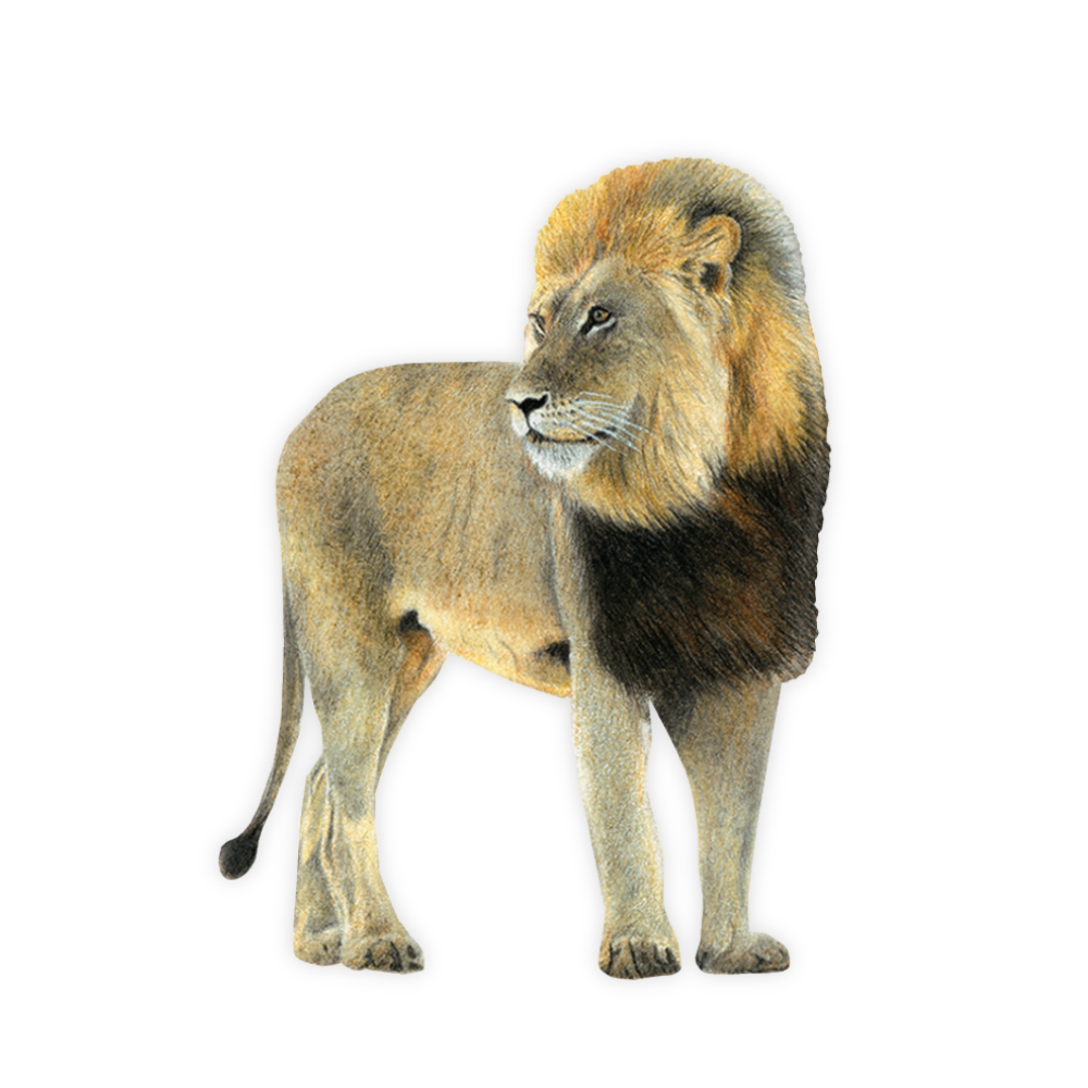 27_fa43b2fc-8590-47ee-aaba-30b3c1b42c5b.png