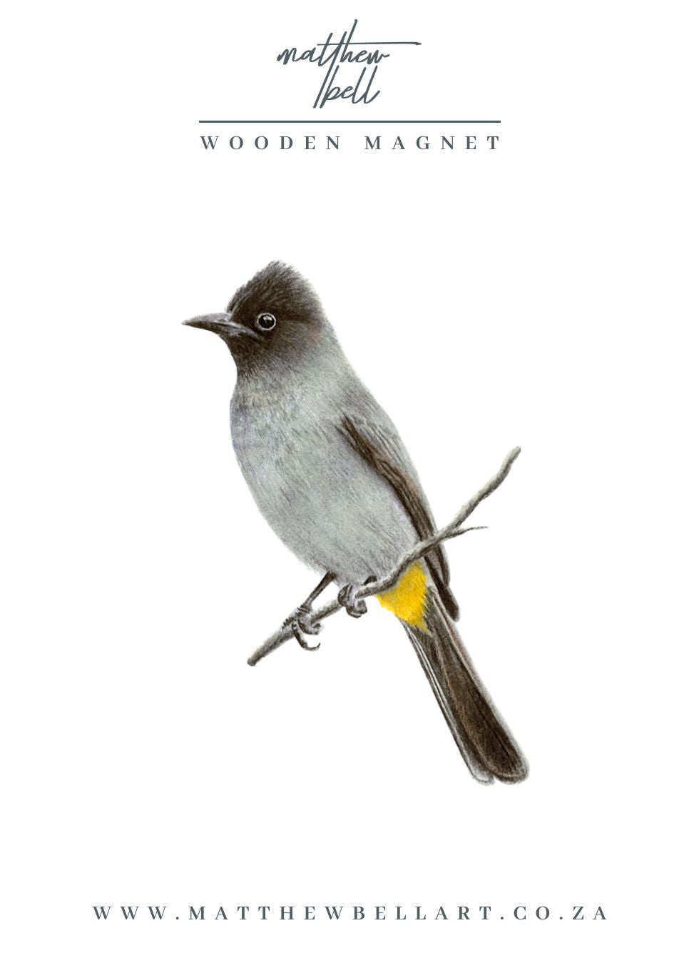 Dark Capped Bulbul Magnet - DCB