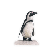 African Penguin Magnet - PNN1