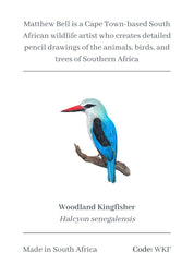Woodland Kingfisher Magnet - WKF