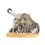 Leopard Magnet - LPD4