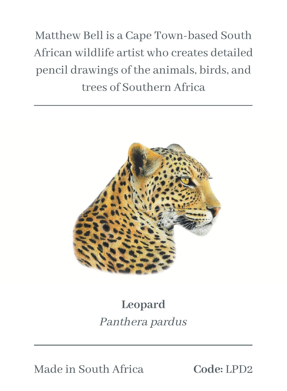 Leopard Magnet - LPD2