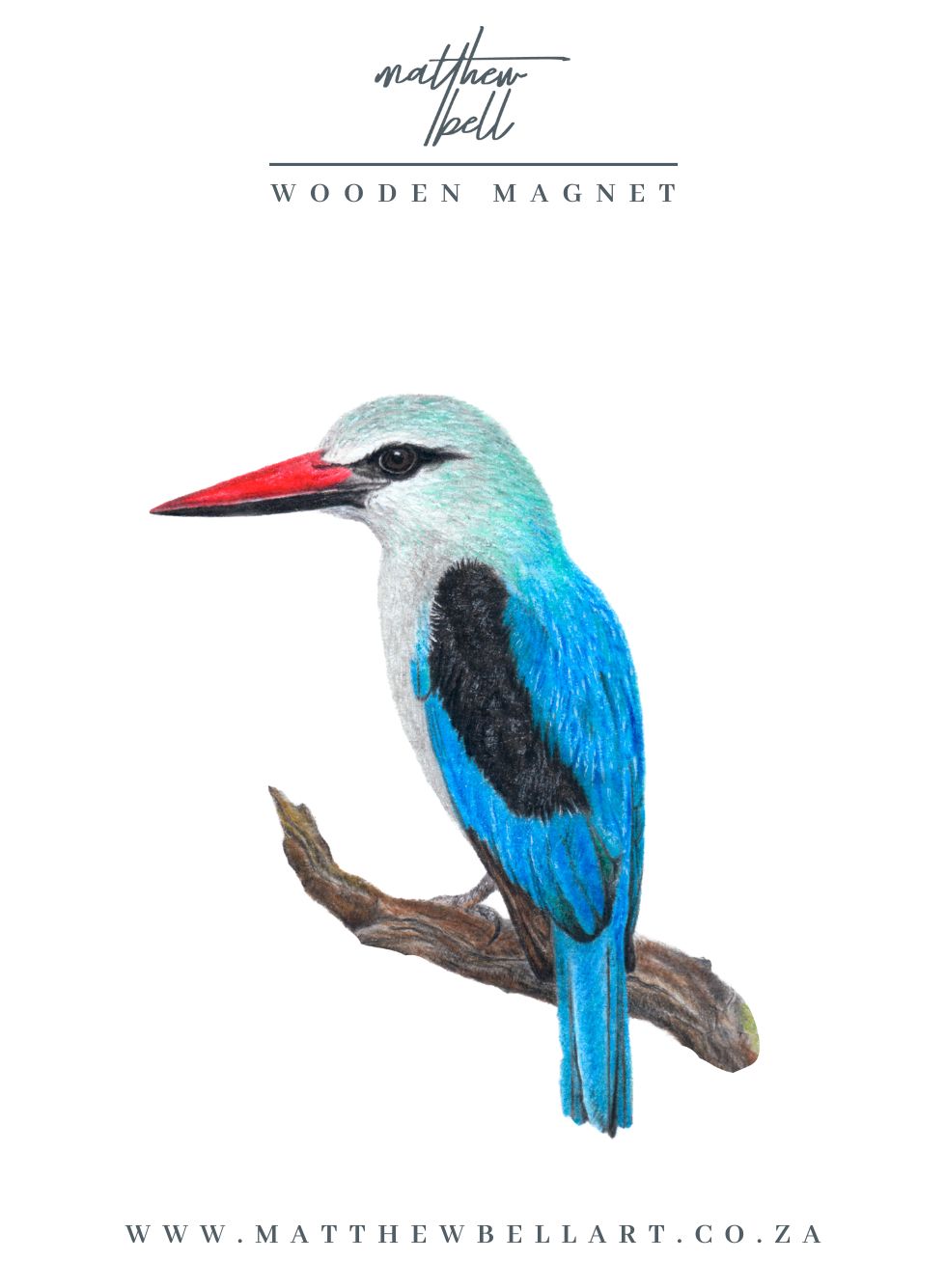Woodland Kingfisher Magnet - WKF