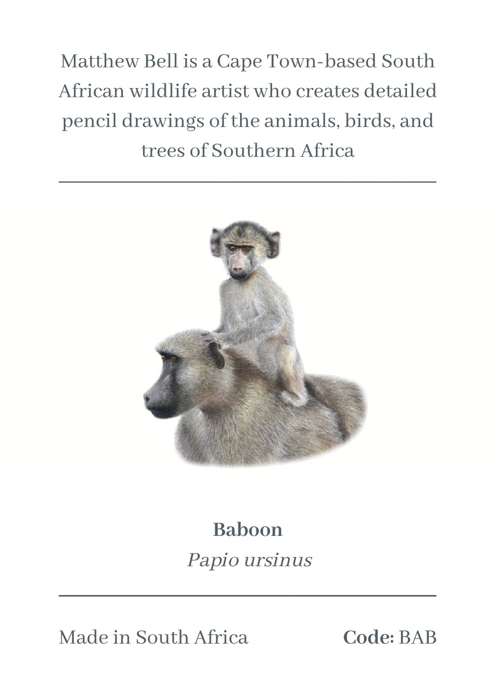 Baboon Magnet - BAB