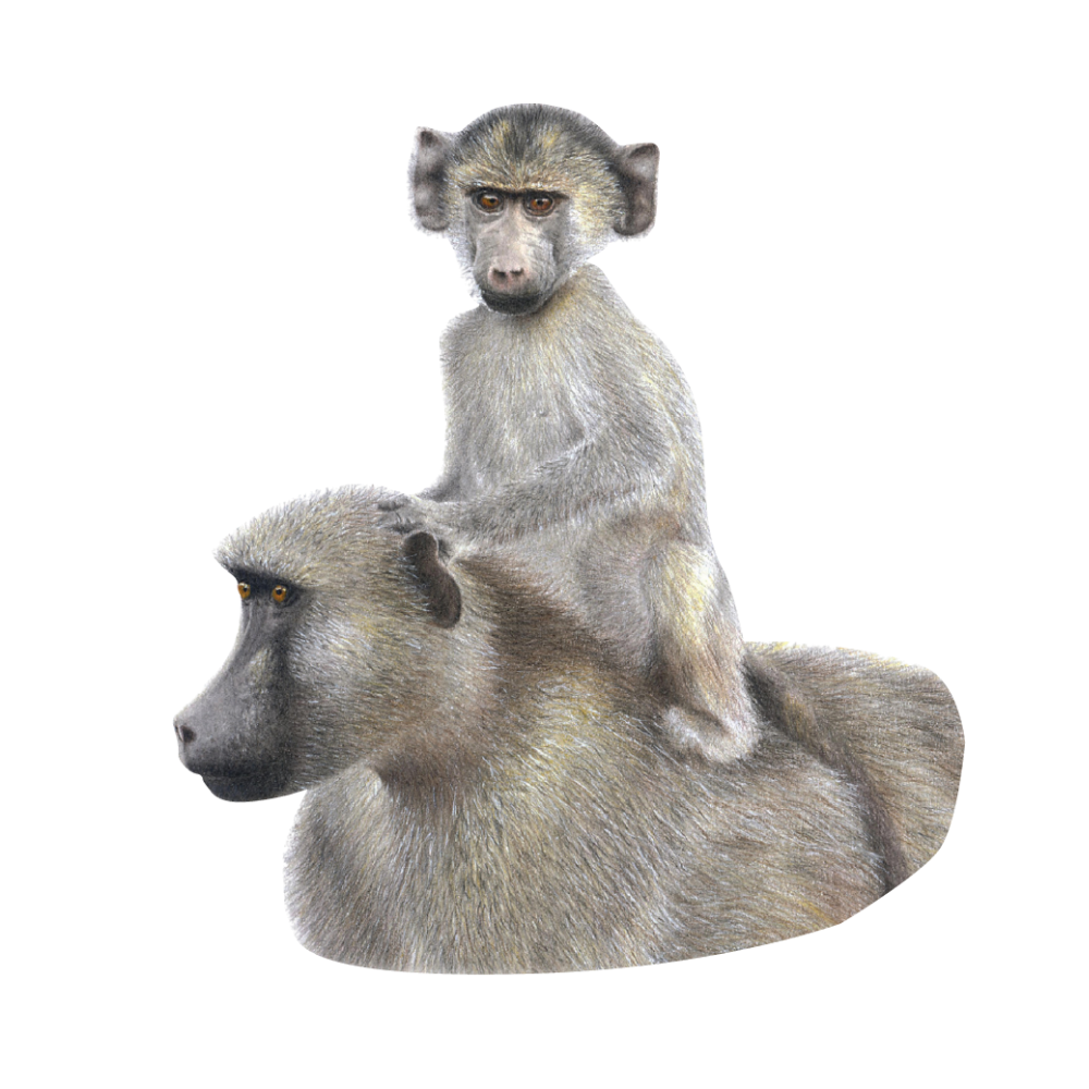 2_b0bebadf-54e1-42ce-9809-a7a1ab8f7a4d.png