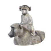 Baboon Magnet - BAB