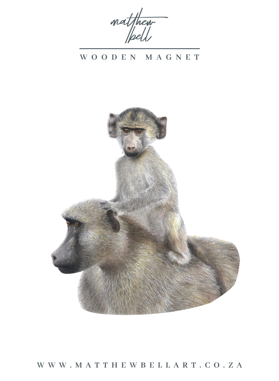 Baboon Magnet - BAB