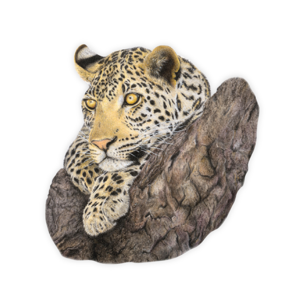 30_3d615b2f-3585-4573-9329-a9d57fdeb218.png