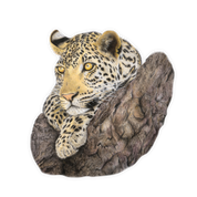 Leopard Magnet - LPD5