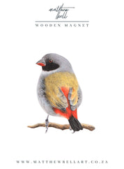 Swee Waxbill Magnet - SWX
