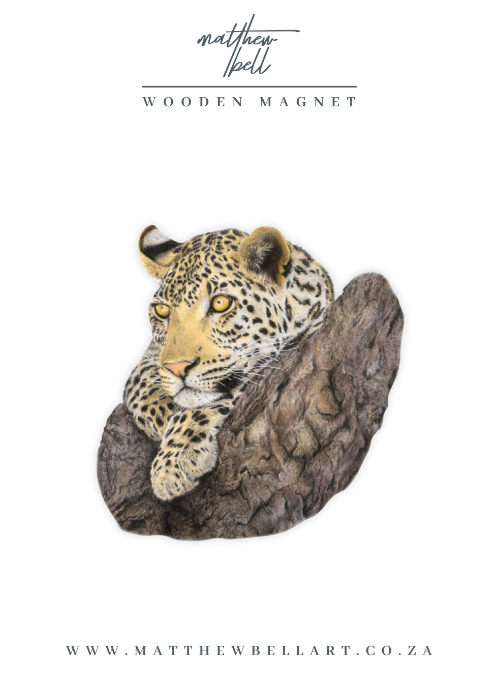 Leopard Magnet - LPD5