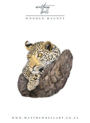 Leopard Magnet - LPD5