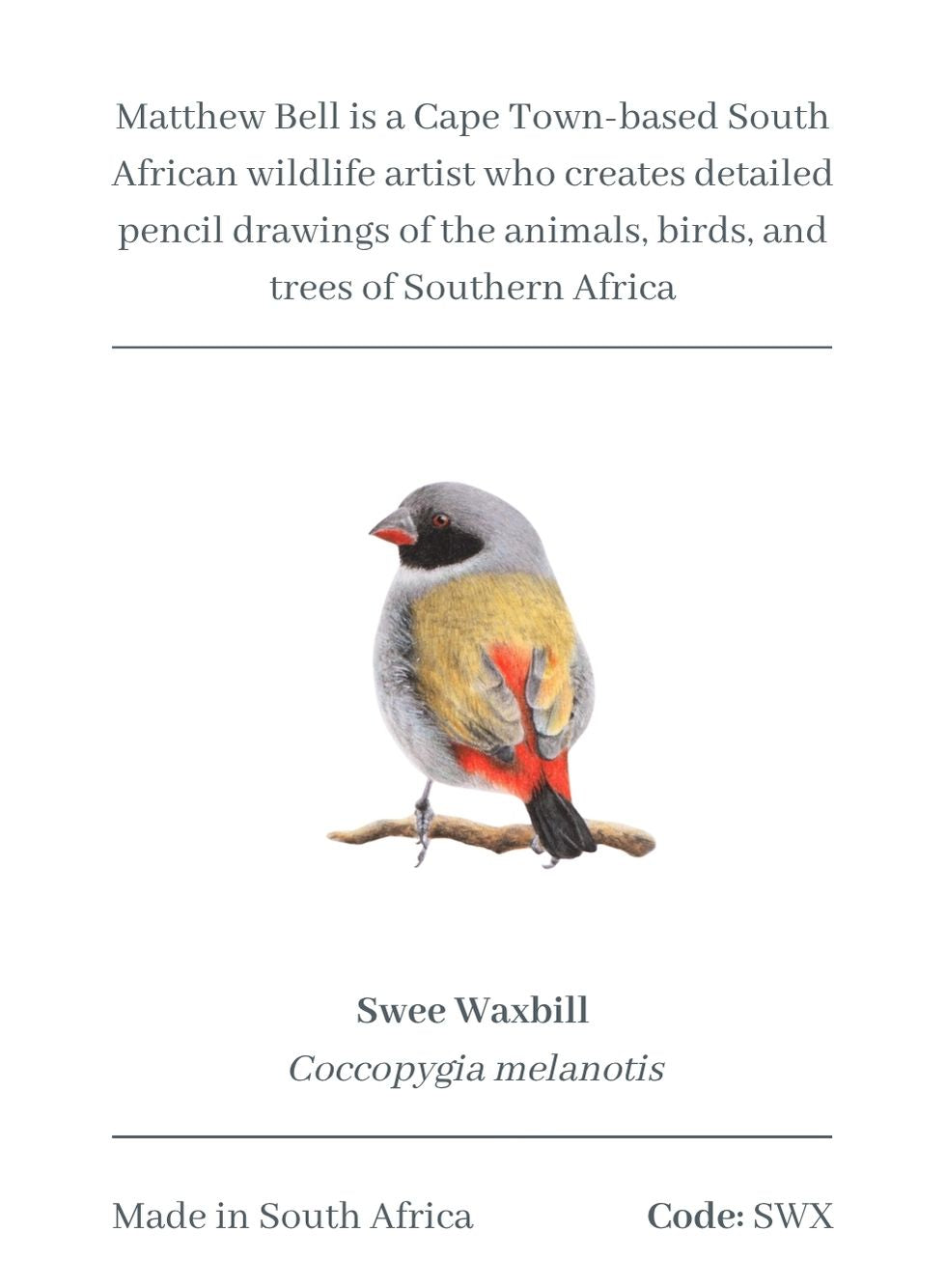 Swee Waxbill Magnet - SWX