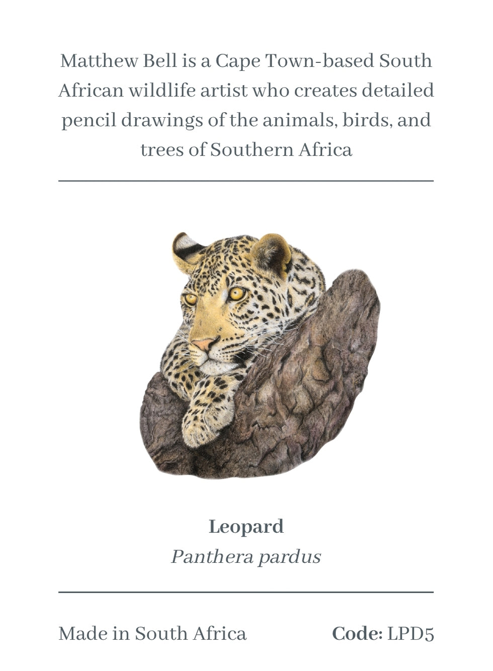 Leopard Magnet - LPD5