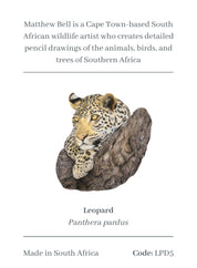 Leopard Magnet - LPD5