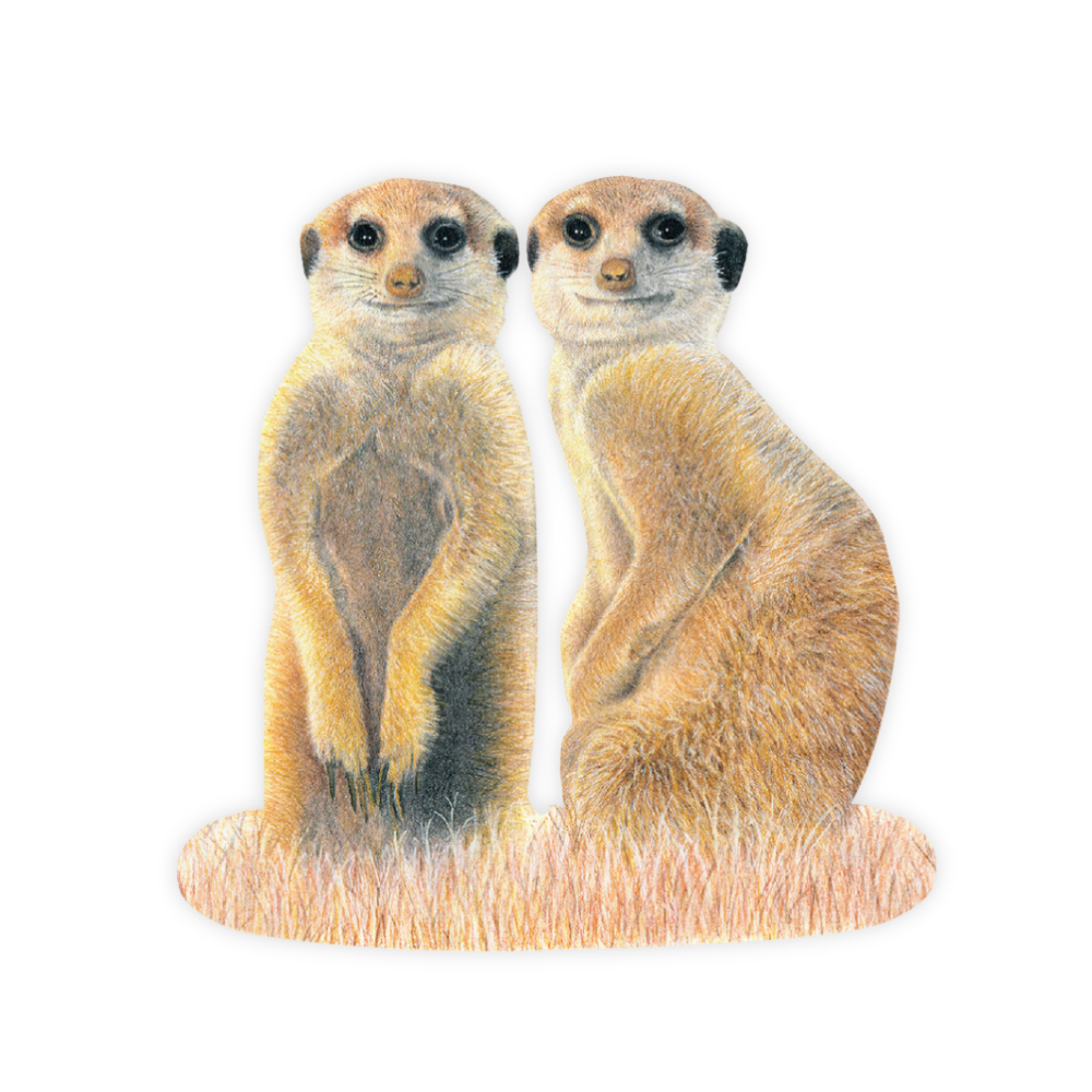 31_4e9d9ca3-ed0e-498f-be13-ae333ab356ea.png