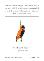 Southern Red Bishop Magnet - SRB