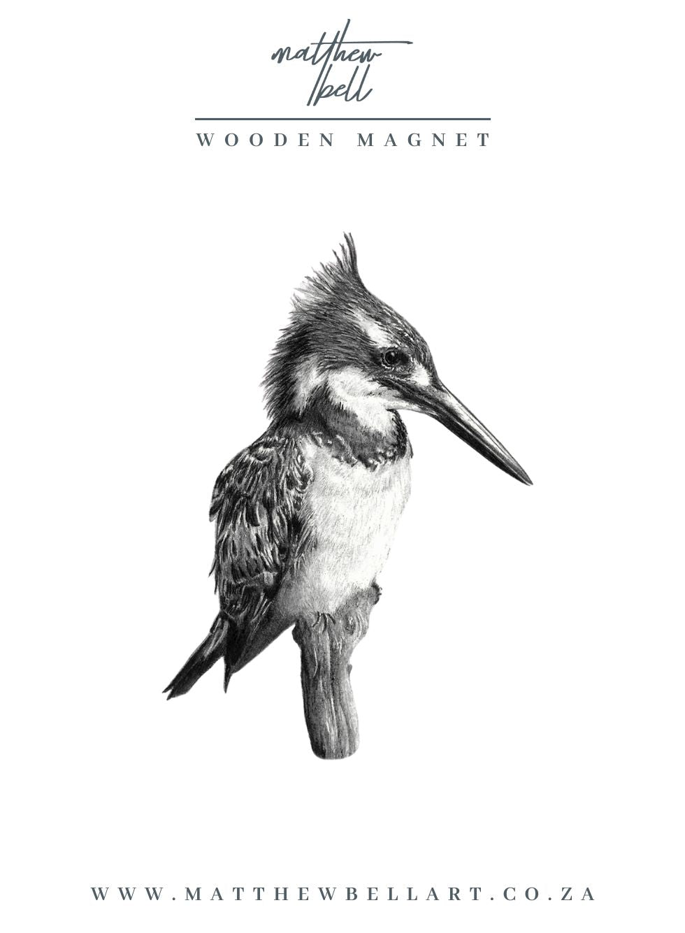 Pied Kingfisher Magnet - PK2