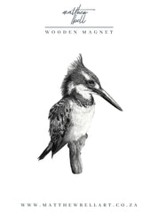Pied Kingfisher Magnet - PK2