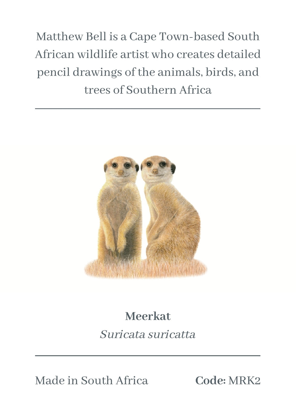 Meerkat Magnet - MRK2