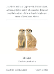 Meerkat Magnet - MRK2