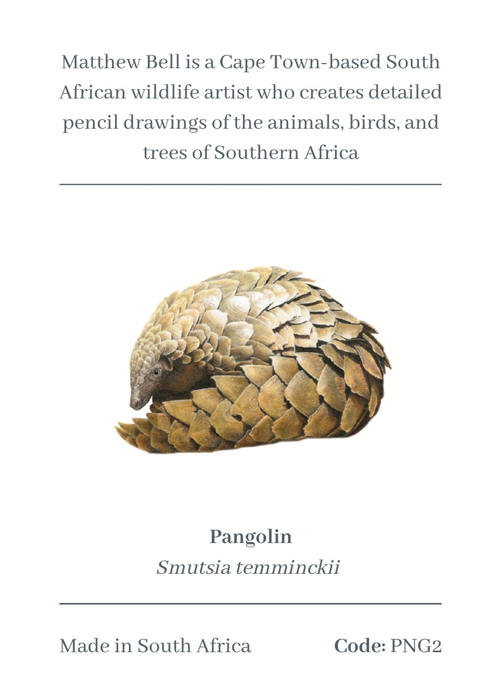 Pangolin Magnet - PNG2