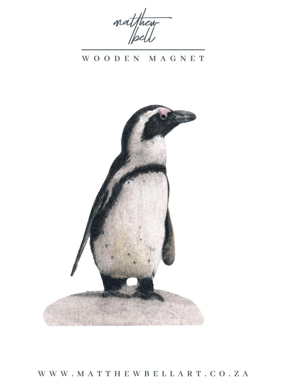 African Penguin Magnet - PNN1 – Matthew Bell Wildlife Art