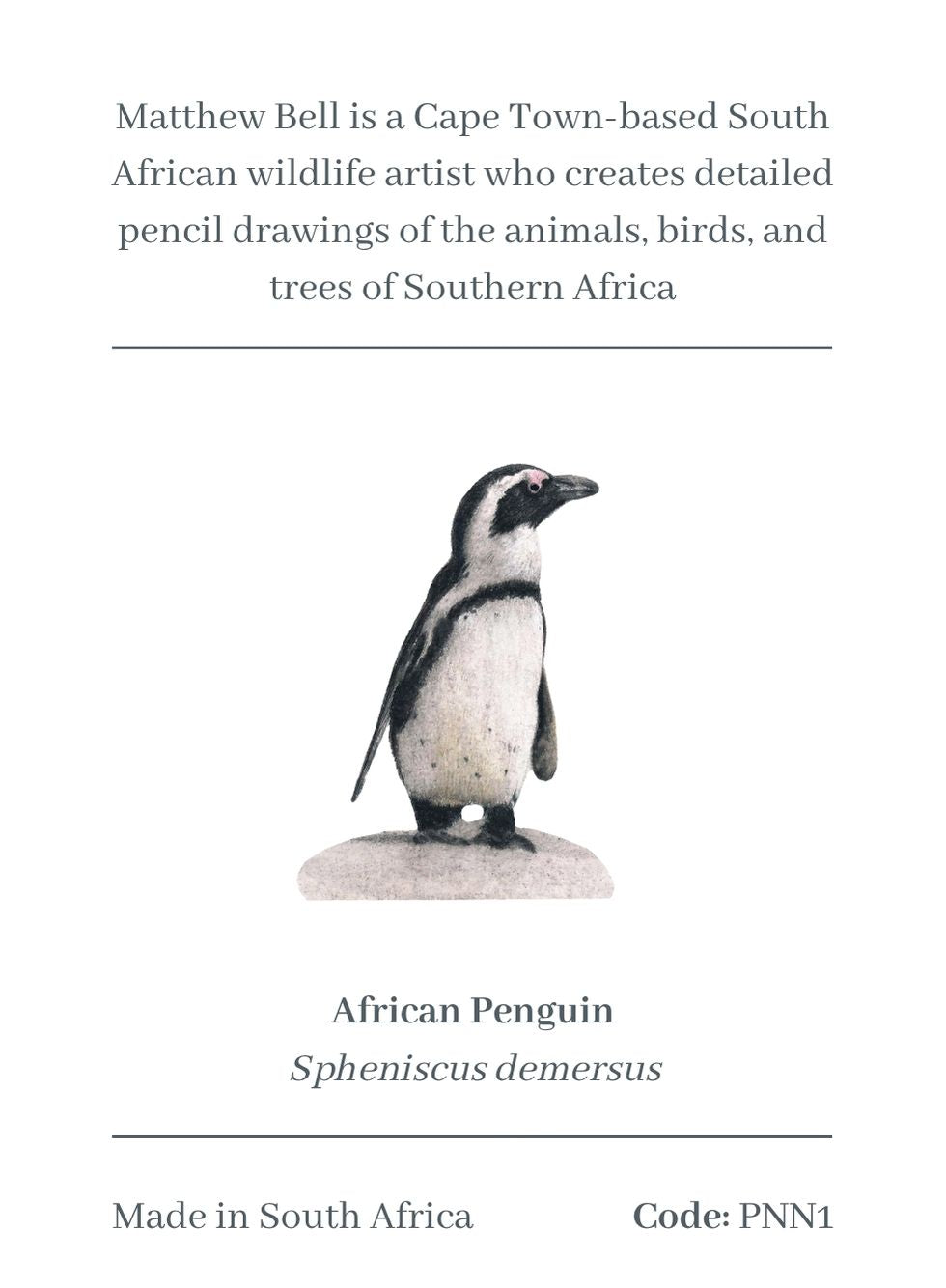African Penguin Magnet - PNN1