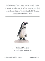 African Penguin Magnet - PNN1
