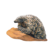Pangolin Magnet - PNG3