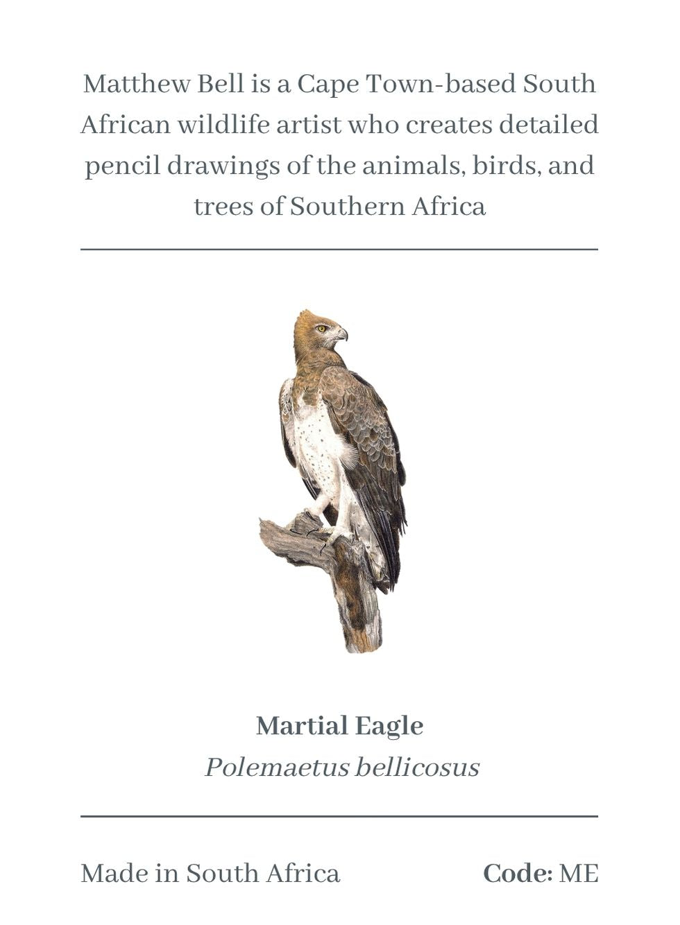 Martial Eagle Magnet - ME