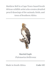Martial Eagle Magnet - ME