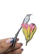 Cape Sugarbird Magnet - CPSB