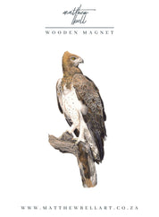 Martial Eagle Magnet - ME