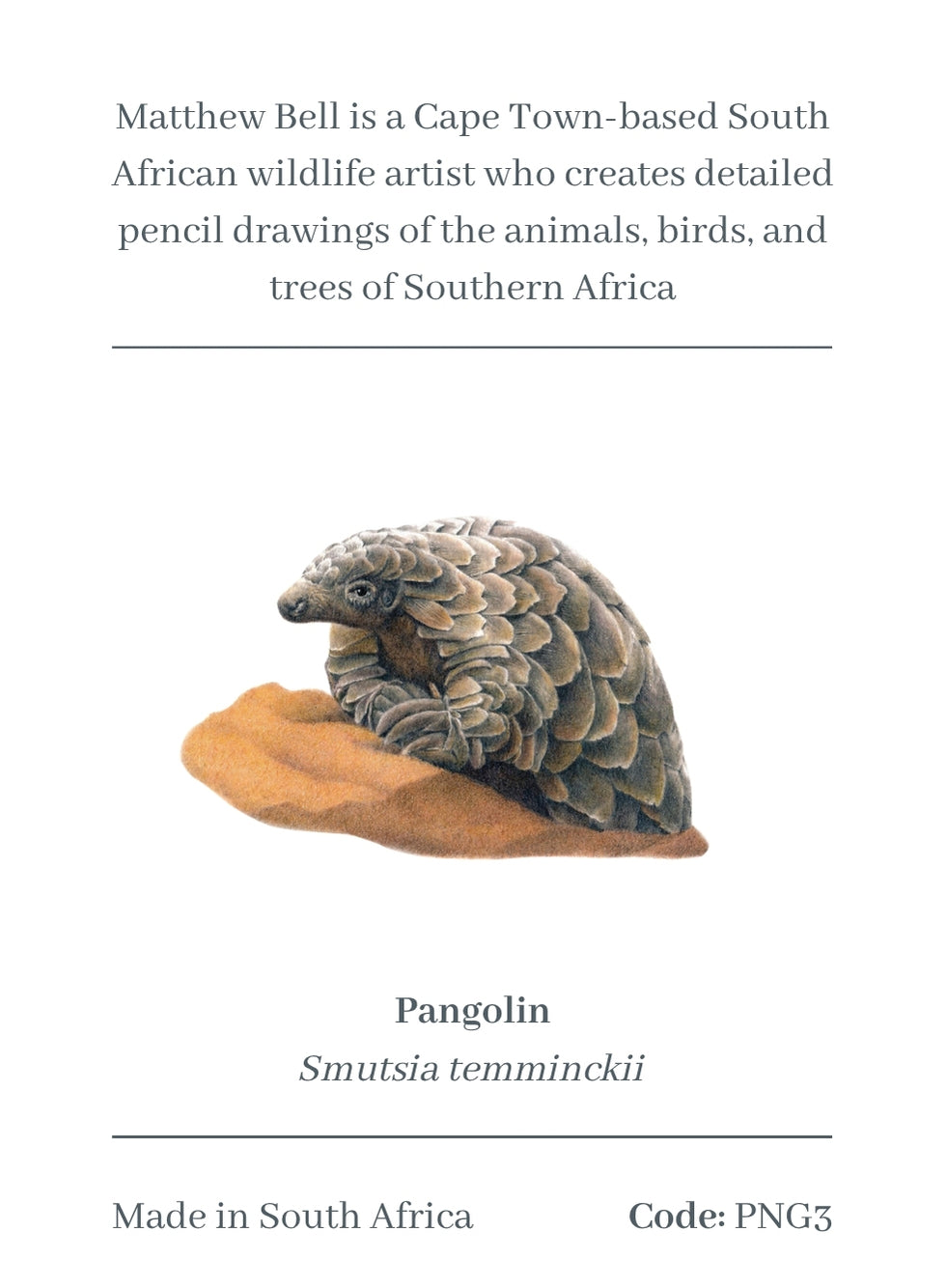 Pangolin Magnet - PNG3