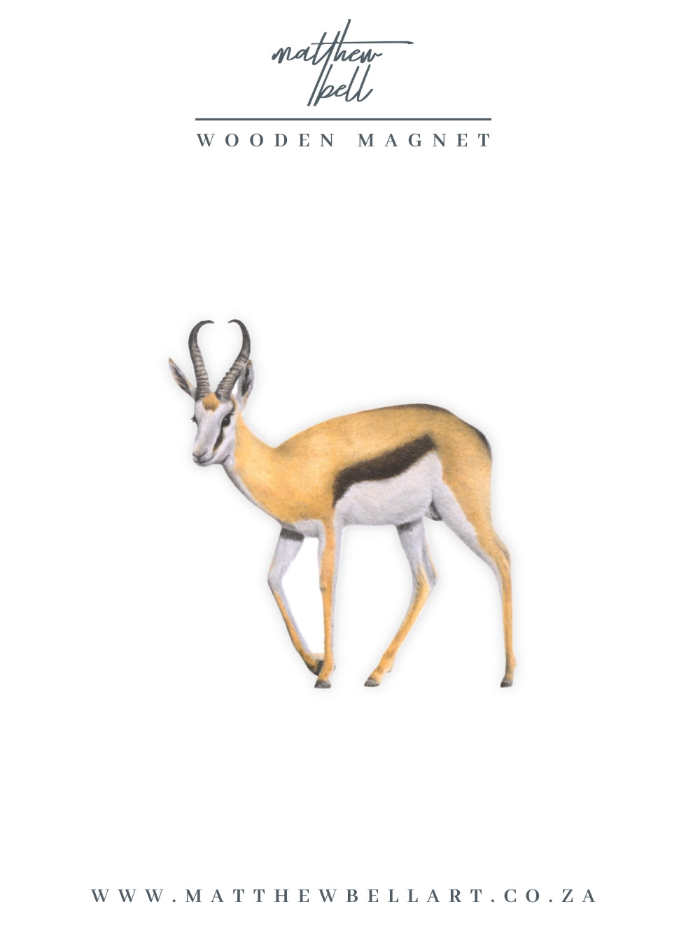 Springbok Magnet - SBK