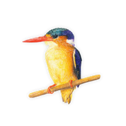 Malachite Kingfisher Magnet - MKF1