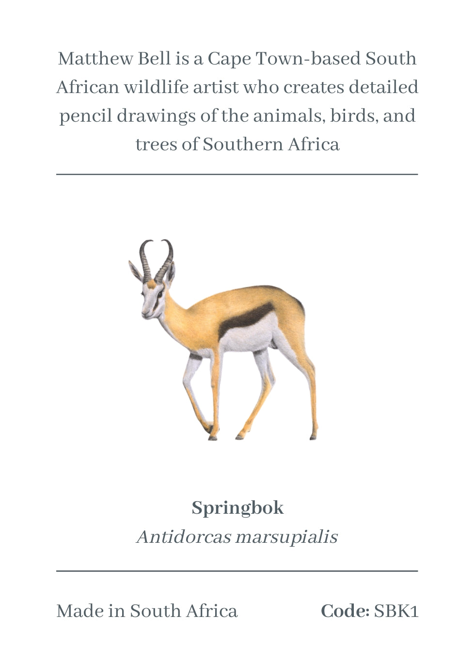 Springbok Magnet - SBK