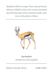 Springbok Magnet - SBK