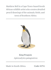 King Penguin Magnet - KPN1