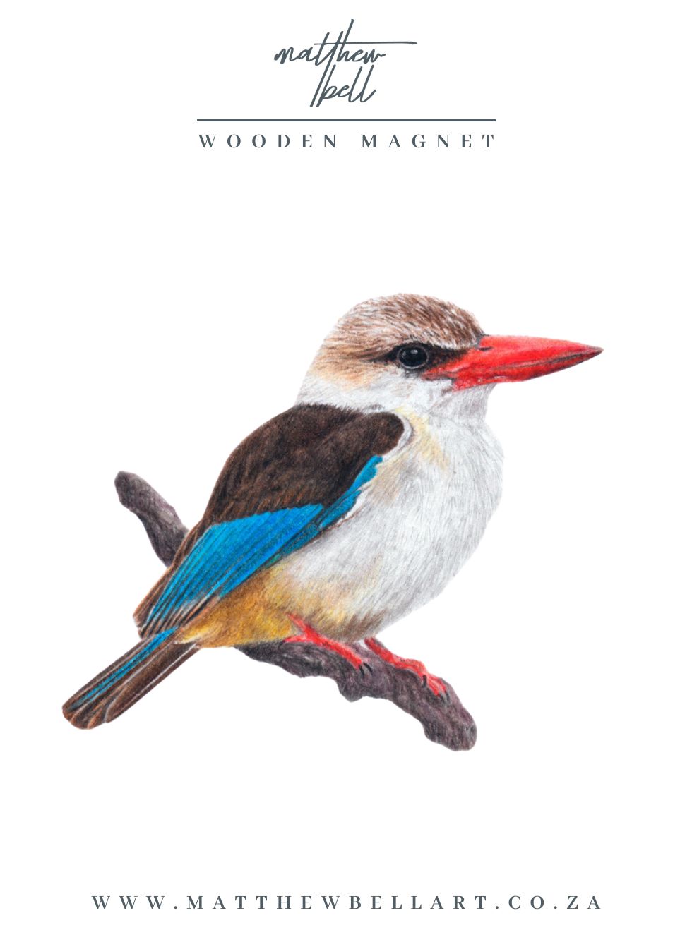 Brown Hooded Kingfisher Magnet - BHK