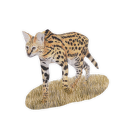 Serval Magnet - SVL