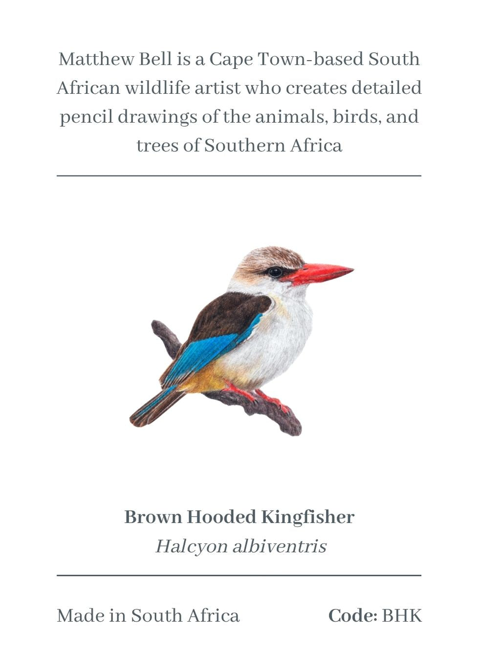Brown Hooded Kingfisher Magnet - BHK