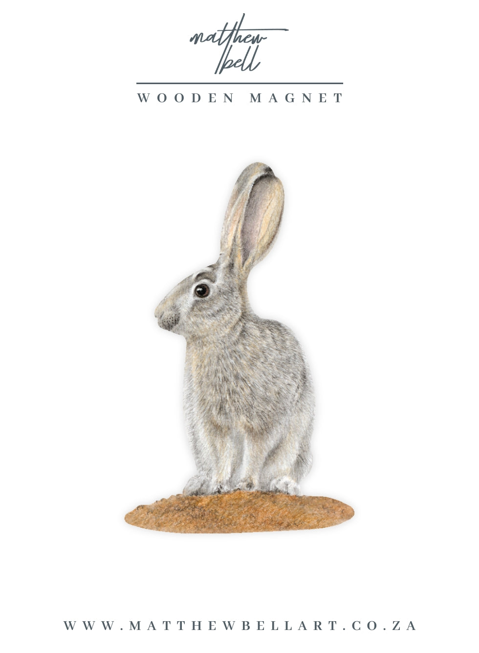 Scrub Hare Magnet - SH