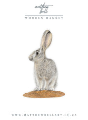 Scrub Hare Magnet - SH