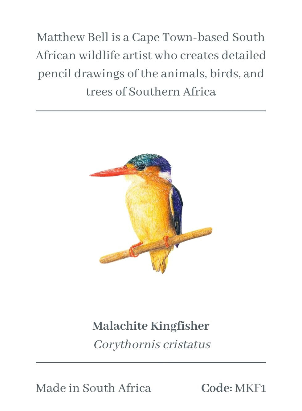 Malachite Kingfisher Magnet - MKF1